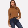 Brown High Neck Solid Pullover Plain Sweatshirt