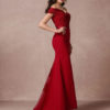 Dress Mermaid Backless Evening Dress fishtail Lace Beading Court Train Red Carpet Dress - Image 7
