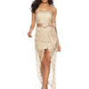 Lace Bodycon Dress Strapless Sexy Party Dress