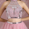 Prom Dresses Crop Top Tutu Tulle Illusion Beading High Collar A Line Mini Party Dress - Image 8