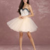 Short Prom Dress Tulle Beading Boned Party Dresses
