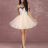 Short Prom Dress Tulle Beading Boned Party Dresses - Image 2