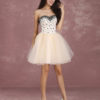 Short Prom Dress Tulle Beading Boned Party Dresses - Image 4
