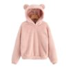 Teddy Hoodie Pullovers Sweatshirt Autumn Women Campus Casual Sweatshirts - Image 5