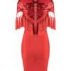 Women Dress Sequin Tassel Short Sleeve Women Party Dress - Image 4