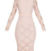 Long Sleeve Lace Dress Crewneck Shaping Midi Dress - Image 4