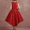 Short Lace Cocktail Pleated A Line High Low Homecoming Prom  Dress - Image 10