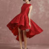 Short Lace Cocktail Pleated A Line High Low Homecoming Prom  Dress - Image 4