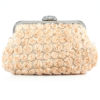 Casual Unspecified Floral Decor Woman's Evening Bag