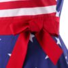 Plus Size American Flag Vintage Dress - Image 3