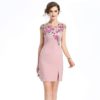 Women Mesh Embroidery Print Vestidos Sweet short Pencil dress
