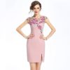 Women Mesh Embroidery Print Vestidos Sweet short Pencil dress - Image 3
