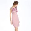 Women Mesh Embroidery Print Vestidos Sweet short Pencil dress - Image 5