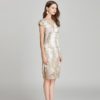 Women Plus size lace embroidery Pencil Dress - Image 4