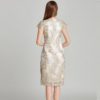 Women Plus size lace embroidery Pencil Dress - Image 5
