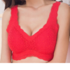 Deep Plunge Lace Mesh Reamovable Padded Vest Crop Bra