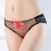 Embroidered Mesh transparent lace sexy lingerie panties - Image 2