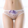 Embroidered Mesh transparent lace sexy lingerie panties - Image 9
