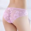 Embroidered Mesh transparent lace sexy lingerie panties - Image 12