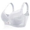 Plus Size Lace Embroidery Removable Padded Memory Metal Wire Bra - Image 4