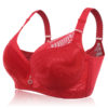 Plus Size Lace Embroidery Removable Padded Memory Metal Wire Bra - Image 5