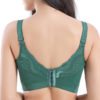 Plus Size Lace Embroidery Removable Padded Memory Metal Wire Bra - Image 10