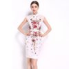 Women Chiffon Floral Embroidery Sweet short Pencil dress - Image 2