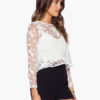 Women Long Sleeves Embroidered Semi-Sheer Crop Top - Image 4