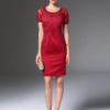 Women Mesh Embroidery Pencil dress new party casual Dress