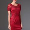 Women Mesh Embroidery Pencil dress new party casual Dress - Image 2