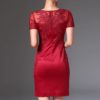 Women Mesh Embroidery Pencil dress new party casual Dress - Image 3