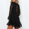 Elegant Lace up Long Sleeve Party Dress - Image 6