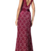 Elegant Sleeveless V Back Long Lace Dress - Image 7