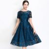 Elegant lace embroidery Vestidos Plus size party Dress