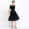 Elegant lace embroidery Vestidos Plus size party Dress - Image 4