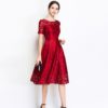 Elegant lace embroidery Vestidos Plus size party Dress - Image 6
