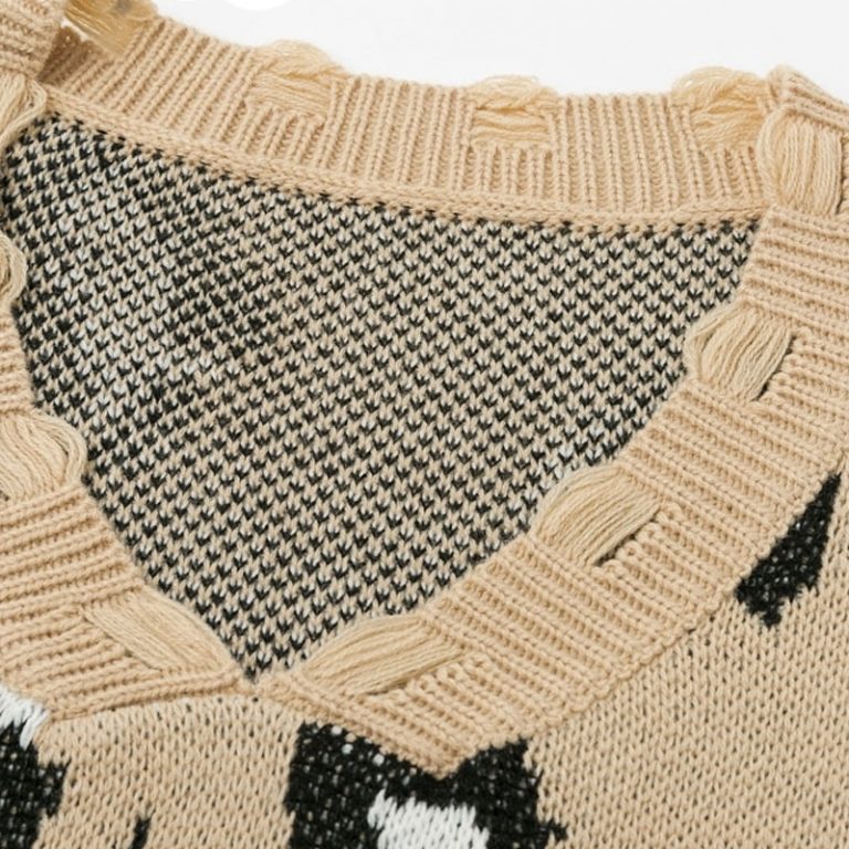 Leopard Print Bat Sleeve V-Neck Tassel Pullover Sweater - Image 6