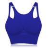 Wireless Sporty Shockproof Running Push Up Sports Bra - Image 4