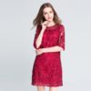 lace embroidery Plus size Vestidos short Dress - Image 2