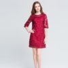 lace embroidery Plus size Vestidos short Dress - Image 4