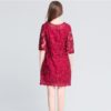 lace embroidery Plus size Vestidos short Dress - Image 6
