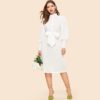 Bishop Sleeve Half Placket Belted Stand Collar Knee Length Dress