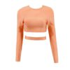 Sexy Hollow Out O-Neck Celebrity Evening Party Short Top - Image 5