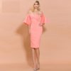 Sexy Slash Neck Short Sleeve Bodycon Dresses