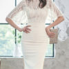 Half Sleeves Lace Sexy Stand Collar Layered Body Conscious Bodycon Dresses