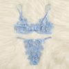 Applique Lace Sexy Bra And Pantie Sleepwear Intimate Lingerie Sets - Image 2