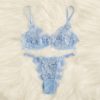 Applique Lace Sexy Bra And Pantie Sleepwear Intimate Lingerie Sets - Image 3