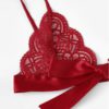 Sexy Sleepwear V Neck Bralette And Pantie Intimate Lingerie - Image 4