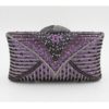 College Students Evening Party Clutches