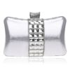 Luxurious Acrylic Evening Handbags Clutch